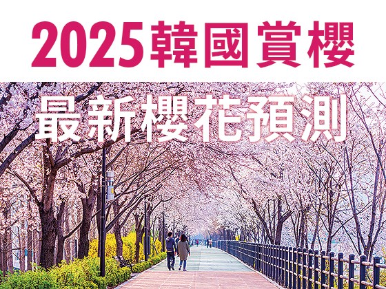 2025韓國賞櫻~最新櫻花預測