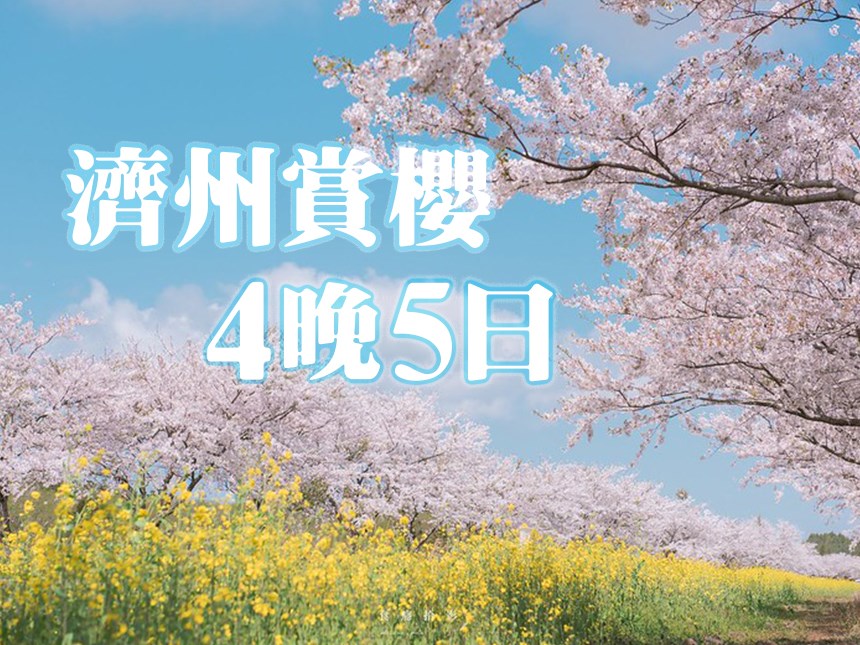 濟州賞櫻4晚5日