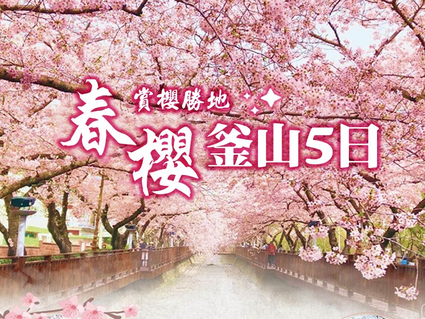 春櫻釜山5日