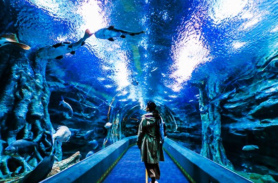 樂天世界水族館